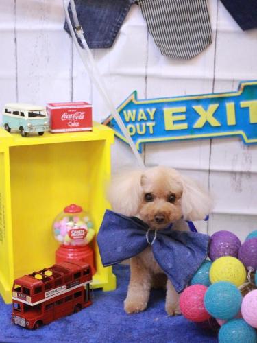 20230418こむぎちゃん